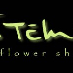 Stems Logo
