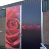 Rose breeder and propagator