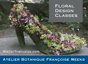 Francoise Weeks Floral Design Classes