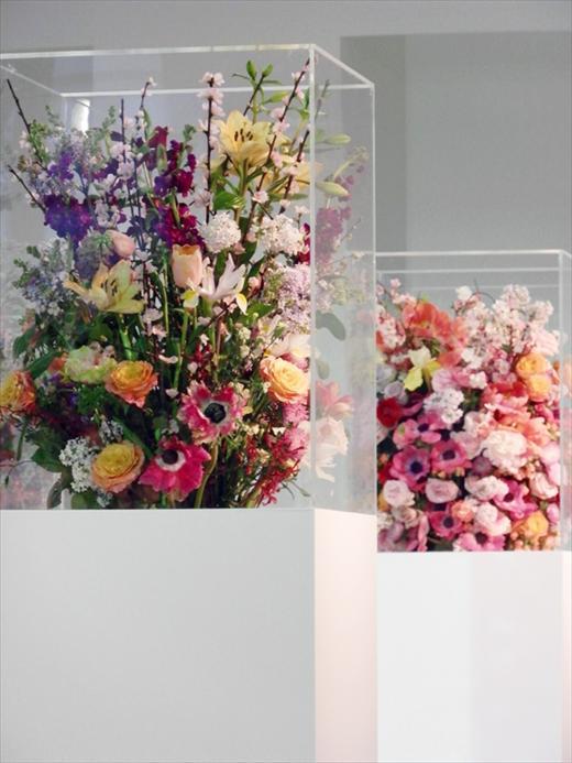 jilsanderflowers21