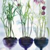fritallaria centerpieces