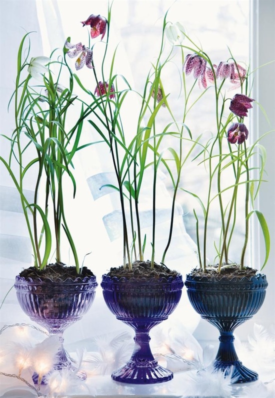 fritillaria centerpieces