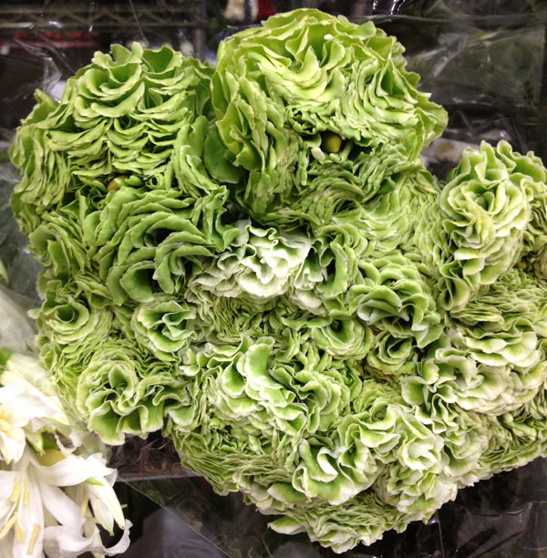 green ranunculus