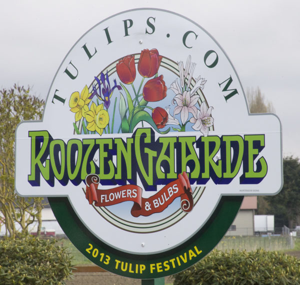 roozengaarde tulip festival