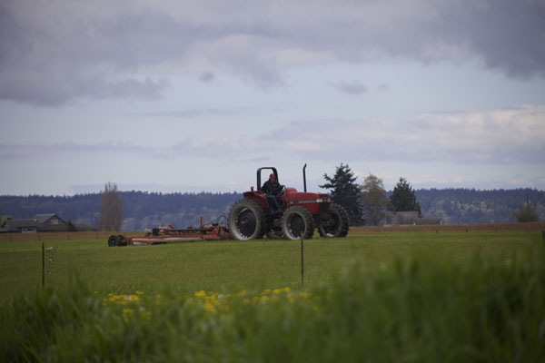 tractor in field