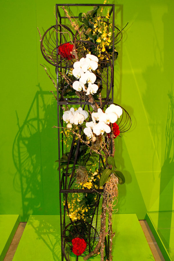 Designed by Demi Wu
