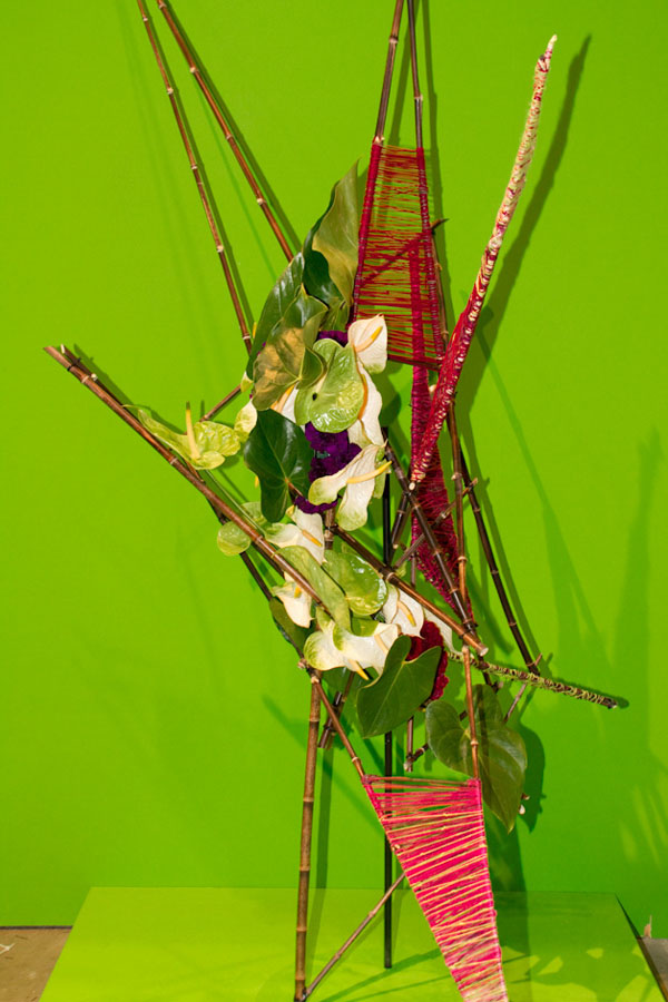 Designed by Kathleen Potton
