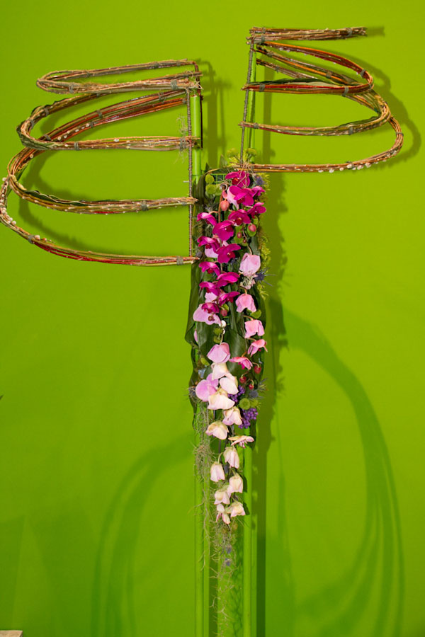 Designed by Nusrat Saleem