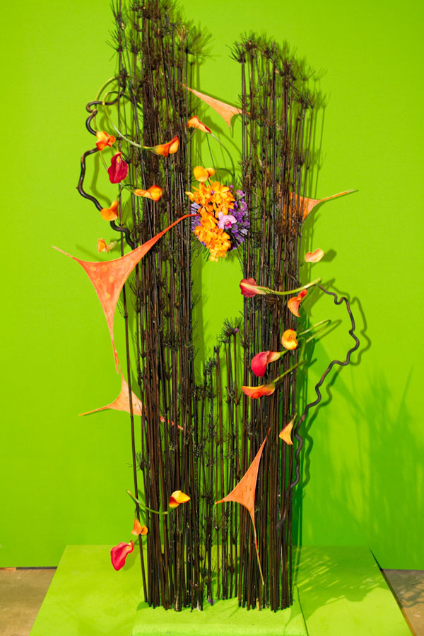 Designed by Sue Clarkson