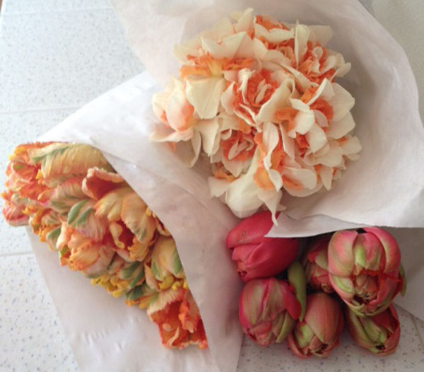 peach parrot tulips, pink double tulips, peach daffodils