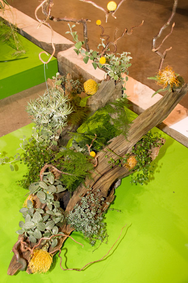 Toronto Garden Club