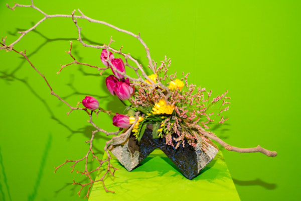 Toronto Garden Club