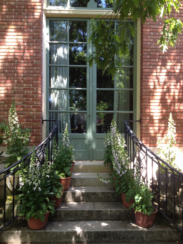 filoli mansion with foxgloves