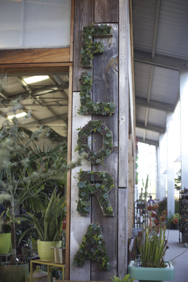 flora sign made out of succulents