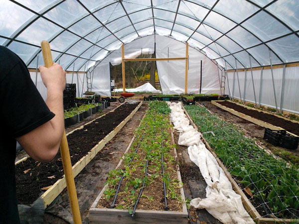 flower greenhouse