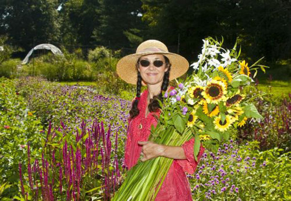 Kate Harvesting Sunflowers