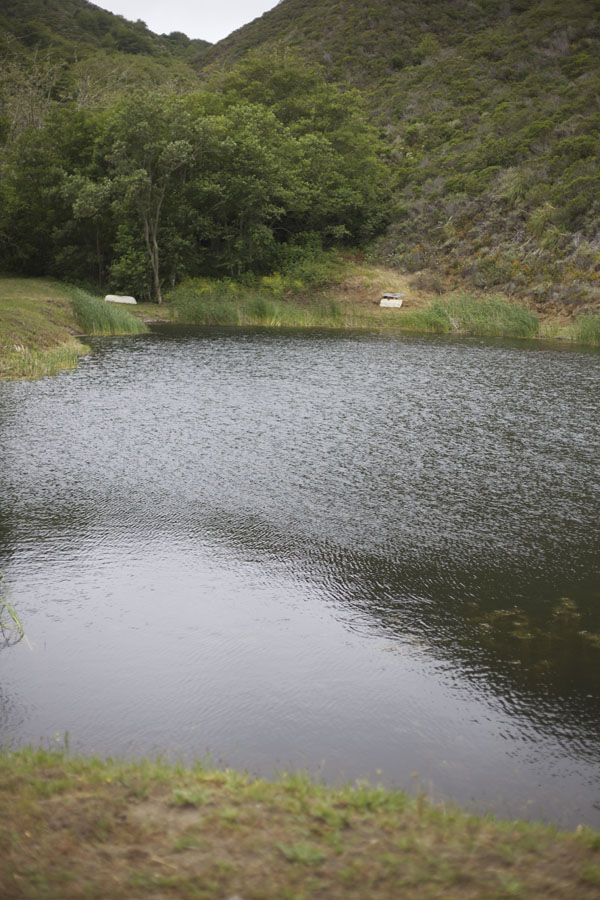 irrigation pond