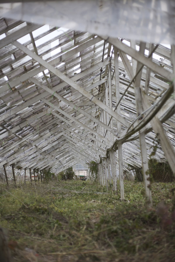 abandoned greenhouse