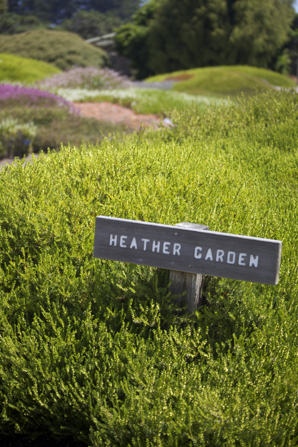 heather garden