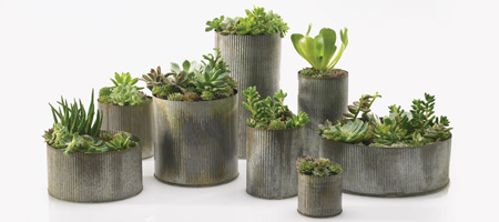 Perhaps one of Accent Decor's most popular pieces? These Zinc Containers works for both industrial and rustic themed designs.