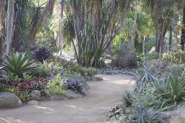 Lotusland Bromeliads gardens