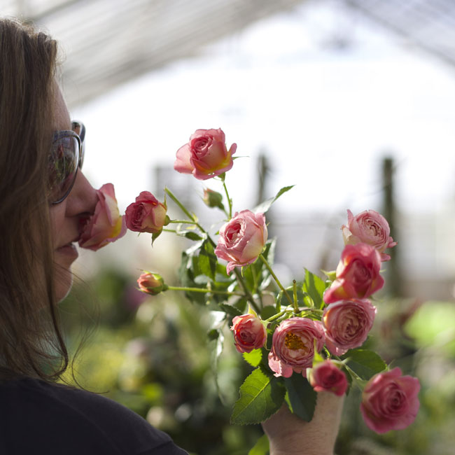 Florabundance Design Days 2016 - Flowers by Holland