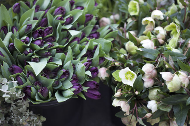 Florabundance Design Days 2016 - purple tulips and white hellebores