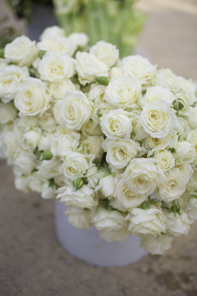 Florabundance Design Days 2016 - White spray rose