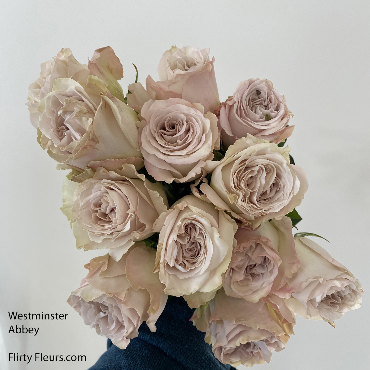 Rose Color Study Dusty Mauve Roses Flirty Fleurs The Florist Blog