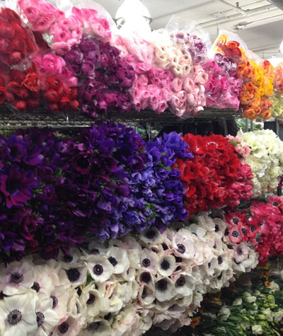 Musings of a Florist :: Relationship with your Wholesaler