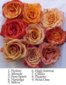 The Orange Rose Study | Flirty Fleurs The Florist Blog - Inspiration ...