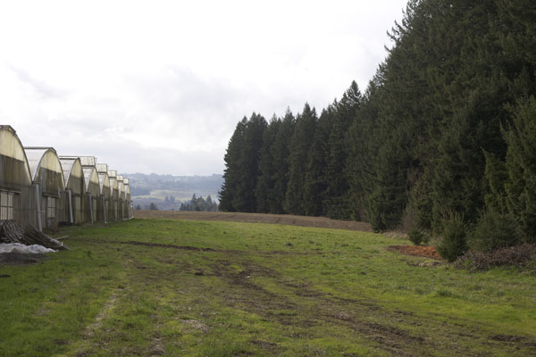 greenhouse Oregon