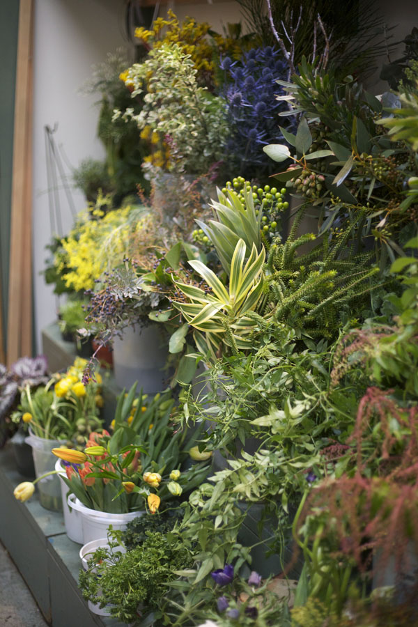 assortment of flowers