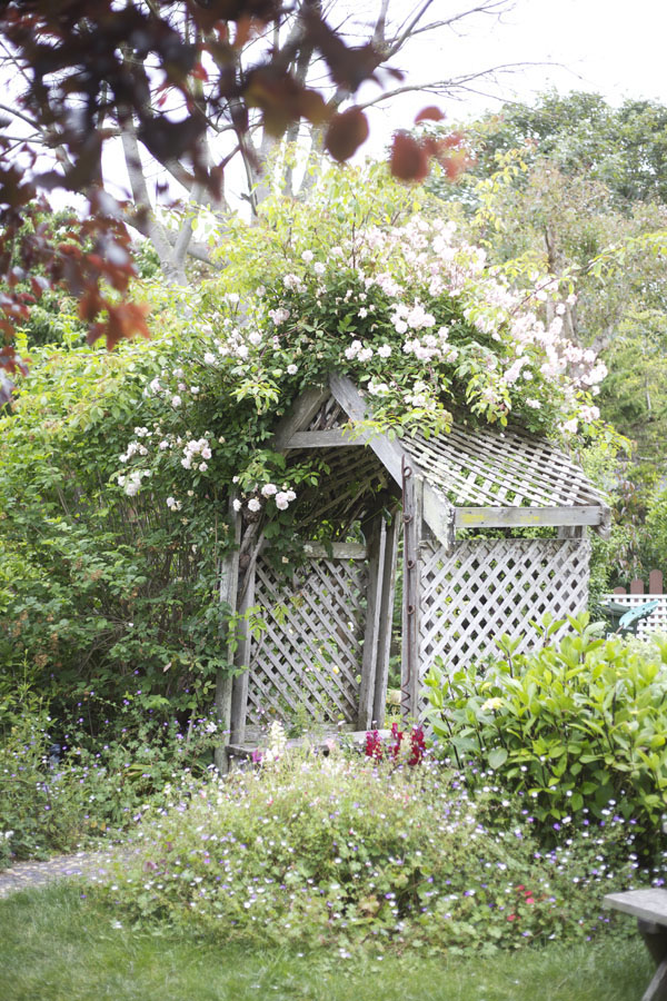 Alena Jean's Flower Shop & Nursery, Half Moon Bay ...