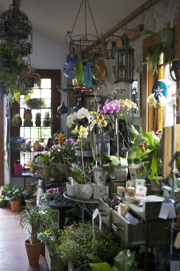 Alena Jean's Flower Shop & Nursery, Half Moon Bay ...