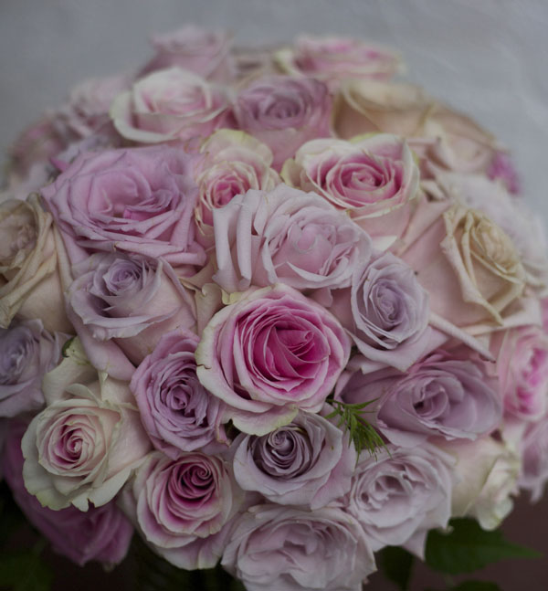 bouquet of blush roses