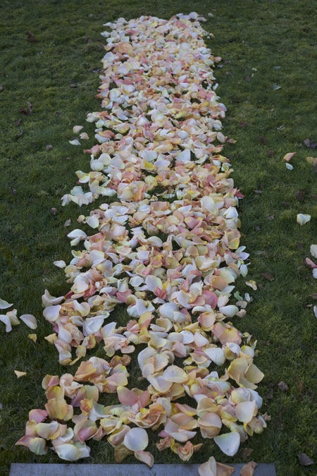 measuring aisle petals