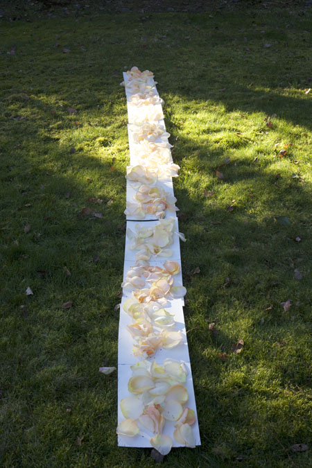 measuring aisle petals