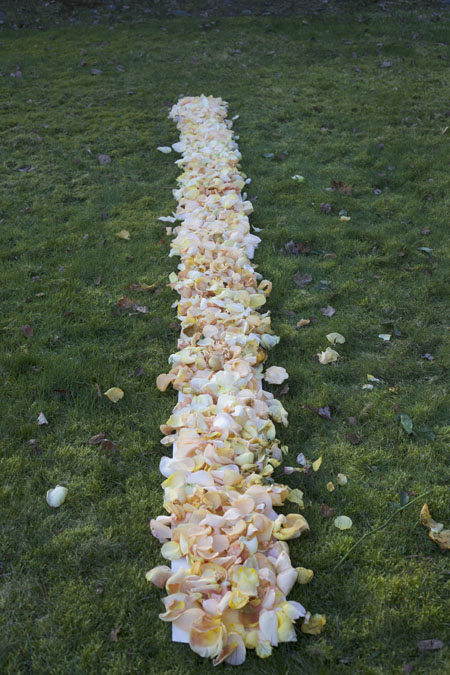 measuring aisle petals