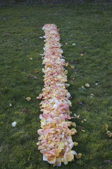 How many flower petals do i need for wedding aisle Measuring Aisle Petals Flirty Fleurs The Florist Blog Inspiration For Floral Designers