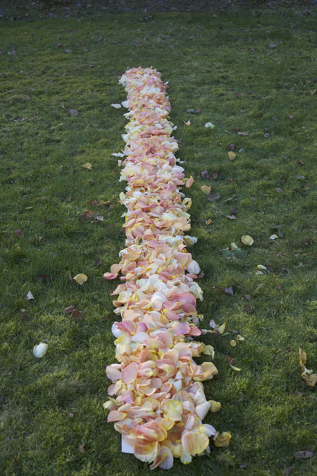 measuring aisle petals