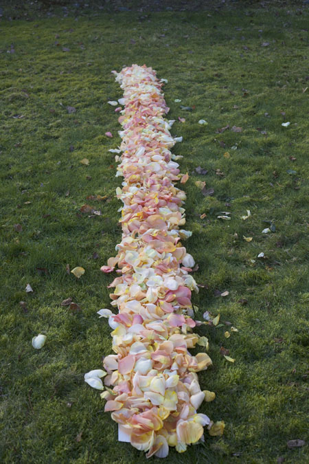 measuring aisle petals