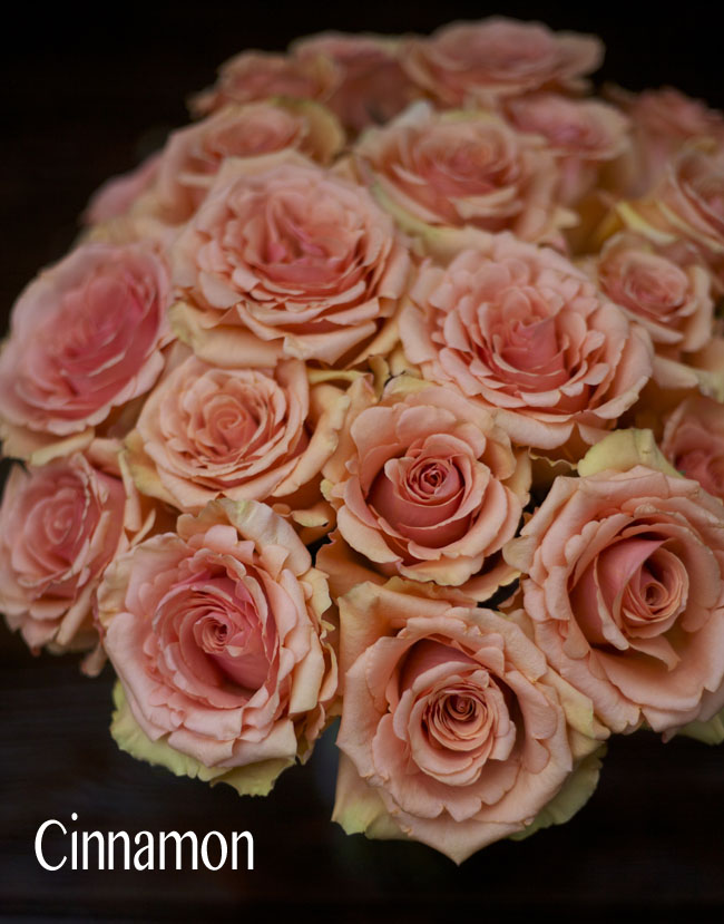 The Peach Rose Study Flirty Fleurs The Florist Blog