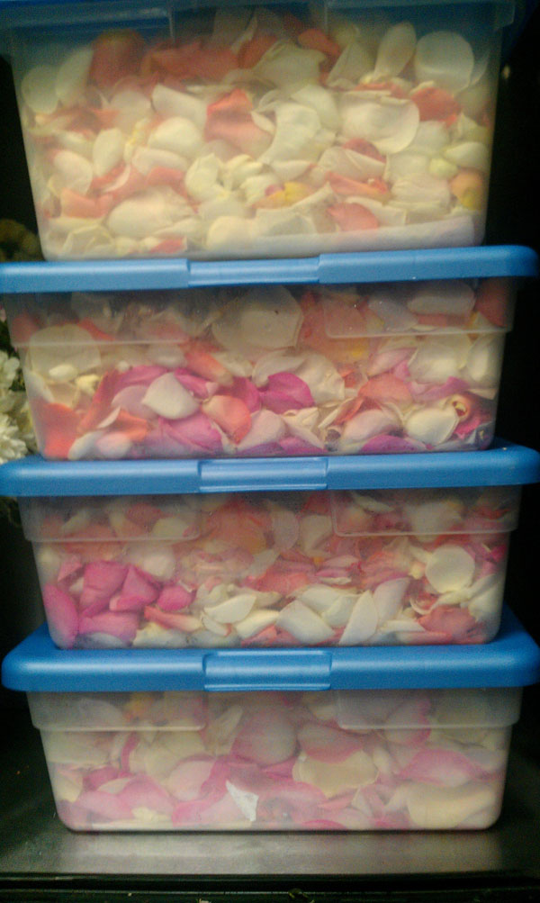 Rose Petals for the aisle in storage boxes