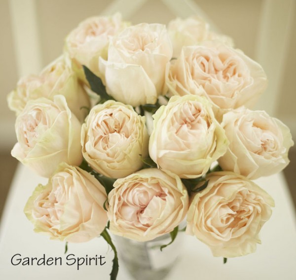 The Blush Pink Rose Study – Flirty Fleurs The Florist Blog ...
