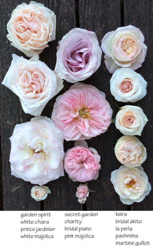 The Blush Pink Rose Study – Flirty Fleurs The Florist Blog ...