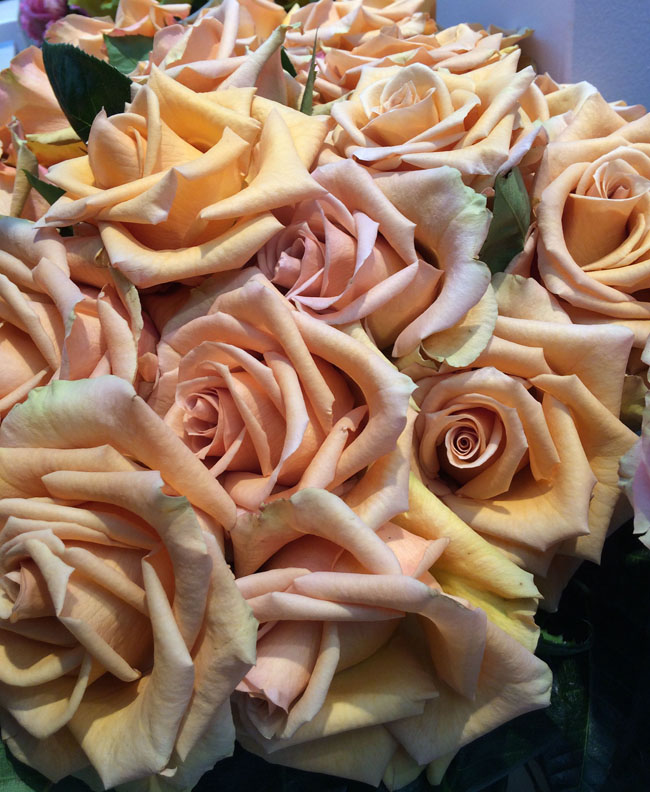 Visiting IFTF in Holland | Flirty Fleurs The Florist Blog - Inspiration ...