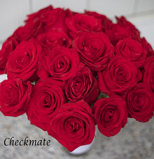 Checkmate Red Rose
