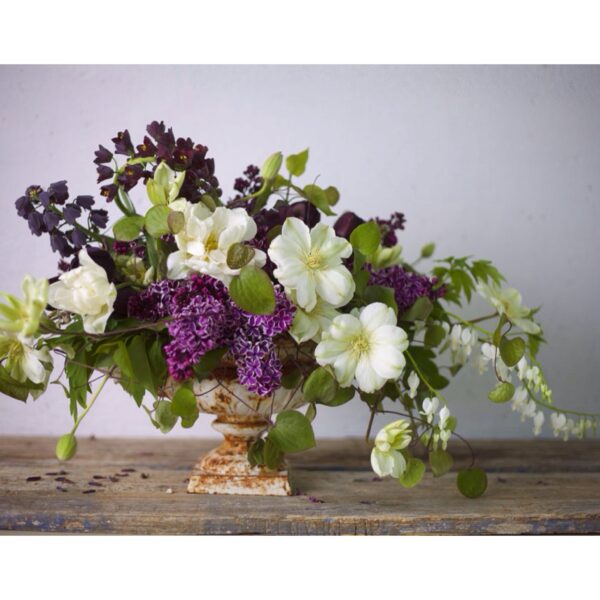 Bella Fiori in Washington, Urn with purple lilacs, white clematis, bleending hearts, persica frittalaria, and tulips