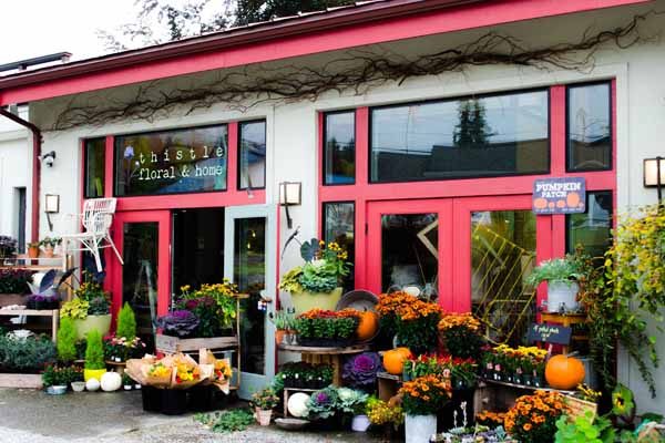 Thistle Floral & Hope - Cute flower shop